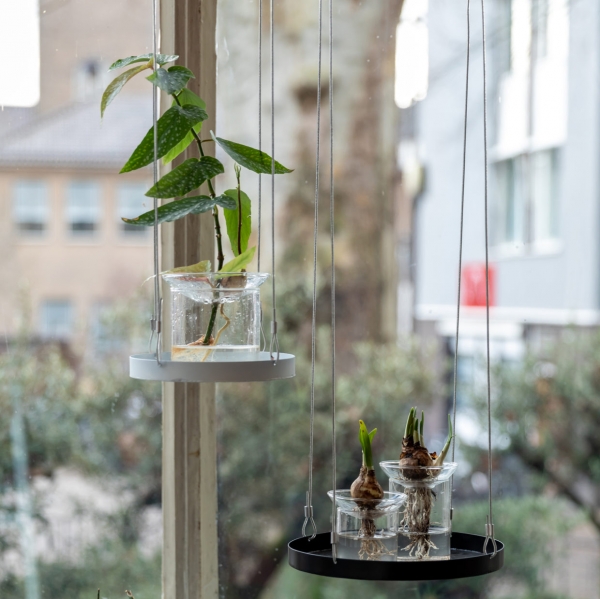 Skleněná vázička pro množení rostlin 0,28L