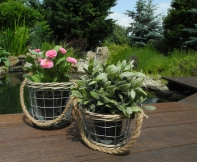 Skleněný květináč se závěsným uchem 14x11cm