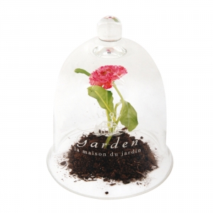 Skleněný poklop GARDEN bílý nápis 24cm