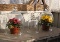 Skleněný poklop GARDEN bílý nápis 24cm