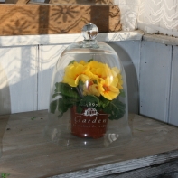 Skleněný poklop GARDEN bílý nápis 24cm