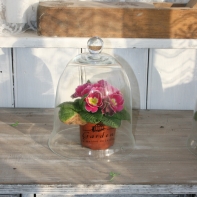 Skleněný poklop GARDEN - černý