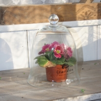 Skleněný poklop GARDEN - černý