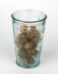 Sklenice na vodu FLORA San Miguel 300ml