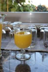 Sklenka Libellules 20cl