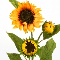 Slunečnice 3 květy flokovaný stonek 95cm