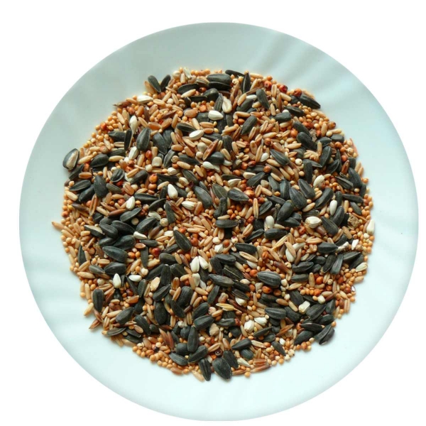 Směs do krmítek pro venkovní ptáky Avicentra 1 kg