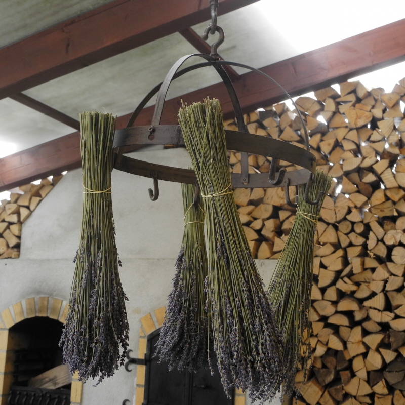 Sušička ovoce - bylinek - vyřazeno