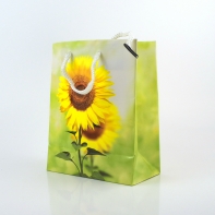 Taška na dárek A1140