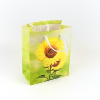 Taška na dárek A1140