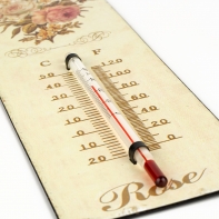 Teploměr kovový růže 8x25cm