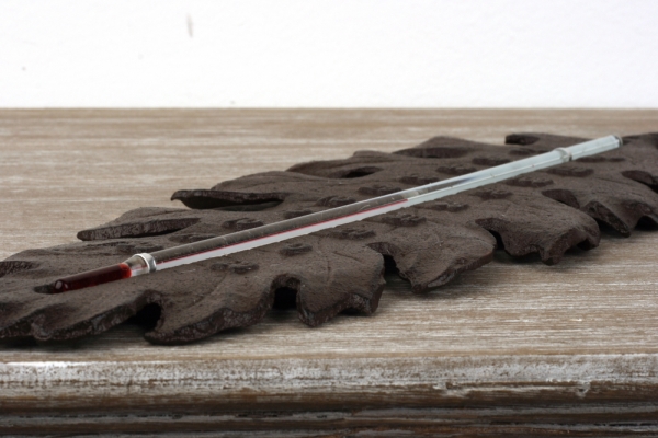 Teploměr venkovní litinový list 38x14cm