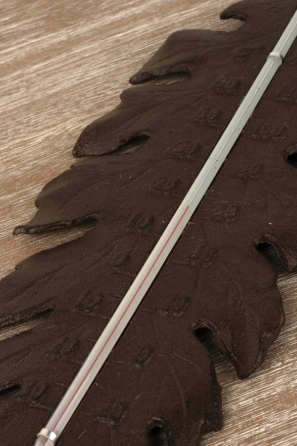 Teploměr venkovní litinový list 38x14cm