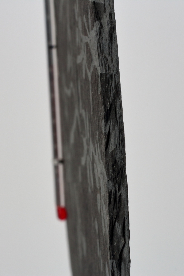 Teploměr z břidlice s ptáčkem kulatý 22cm