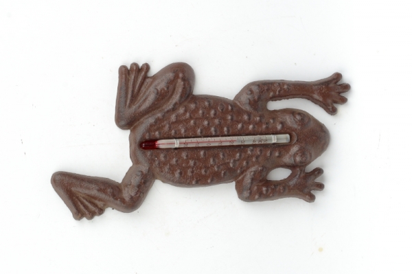 Teploměr žába litina 23x12cm