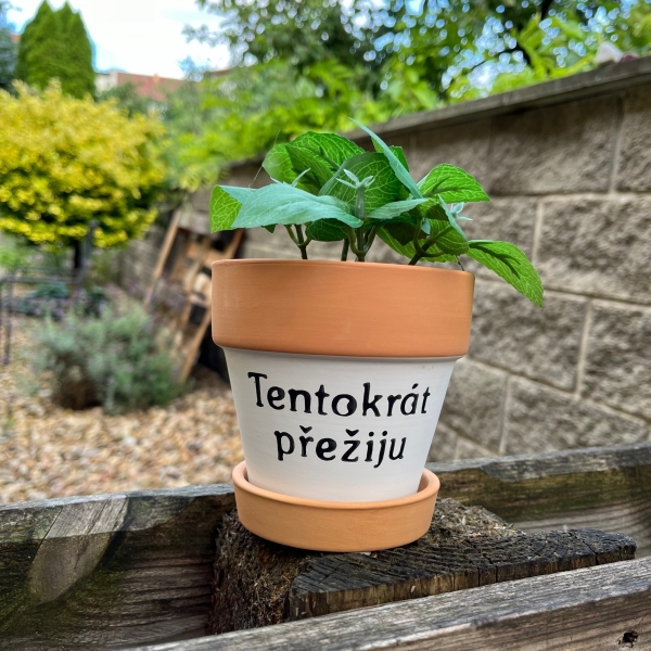 Terakotový květináč s podmiskou 10,5x10,5 cm