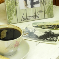 Termohrnek motiv koně 250ml