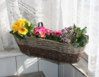 Truhlík na osázení / proutěný závěsný balkonový koš 54cm