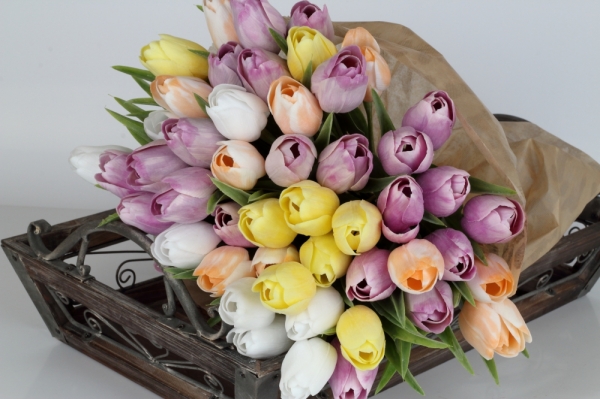 Tulipán bílo-oranžový