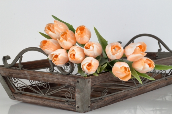 Tulipán bílo-oranžový