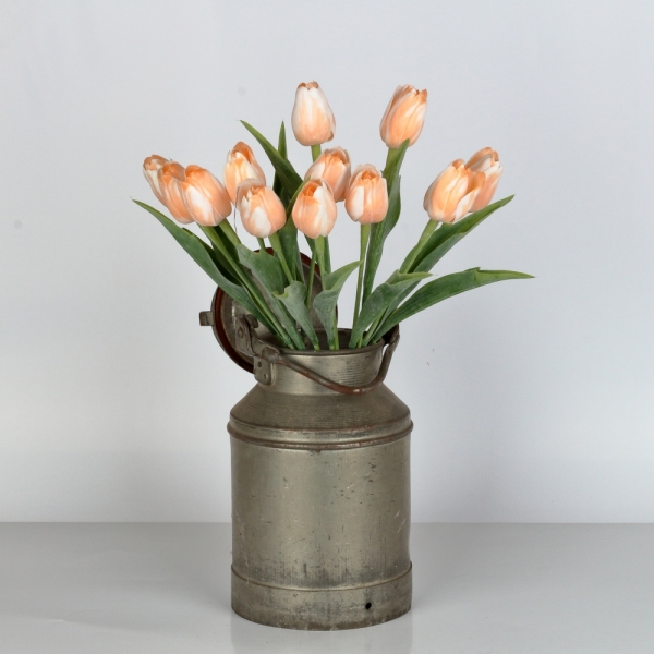 Tulipán bílo-oranžový