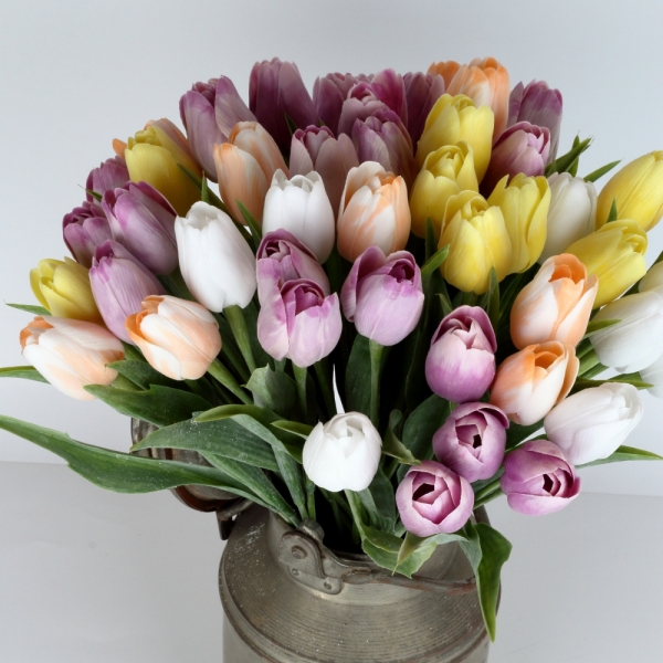 Tulipán bílo-oranžový