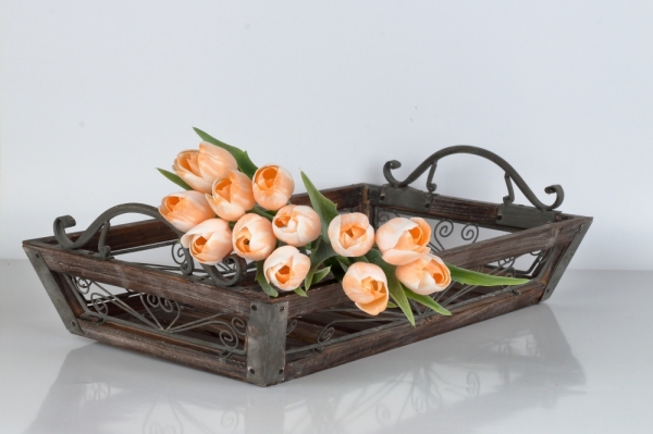 Tulipán bílo-oranžový