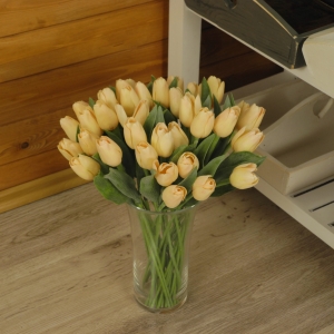 Tulipán broskvový 40cm