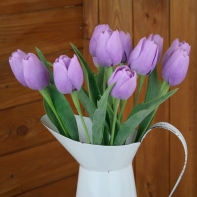 Tulipán fialový žíhaný 43cm