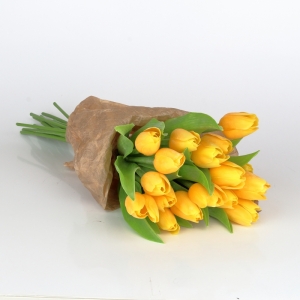 Tulipán jasně žlutý 40cm