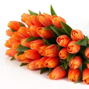 Tulipán oranžový květ 40cm