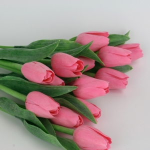 Tulipán růžový 40cm