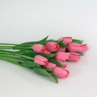 Tulipán růžový 40cm
