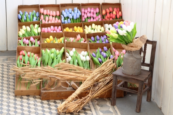 Tulipán růžový 40cm