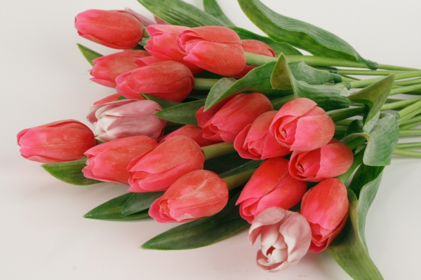 Tulipán umělý sytě červený 40cm