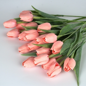 Tulipány korálově růžové