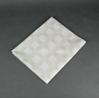 Ubrus bílý 110x140cm PVC