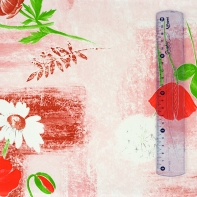 Ubrus PVC 110x140 cm mák