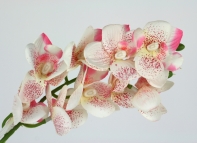 Umělá orchidej 51cm