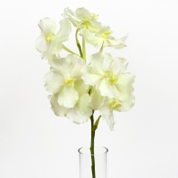 Umělá orchidej 70 cm bílá