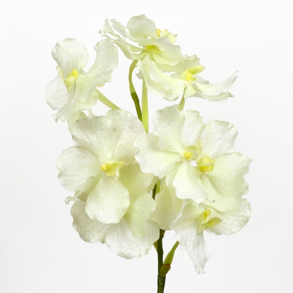 Umělá orchidej 70 cm bílá