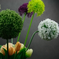 Umělé květiny česnek fialový