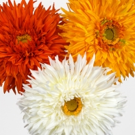 Umělé květiny Gerbera oranžová