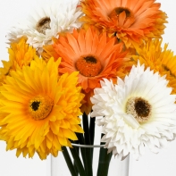 Umělé květiny Germina bílá