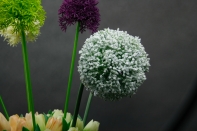 Umělé květiny jako živé česnek bílý