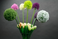 Umělé květiny jako živé česnek bílý