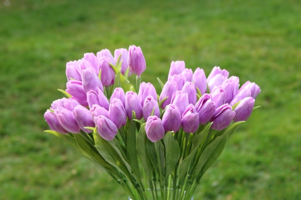 Umělé tulipány jako živé - fialová 40cm