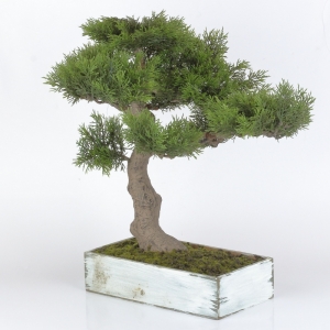 Umělý strom bonsai 48cm