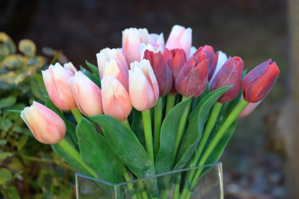 Umělý tulipán jarní 40cm