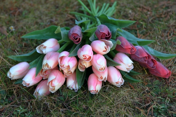 Umělý tulipán jarní 40cm